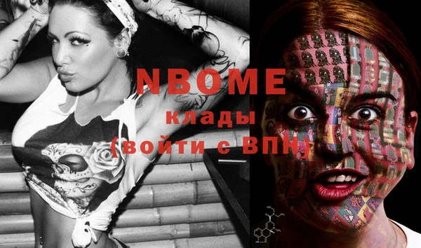 прущие крисы Горняк