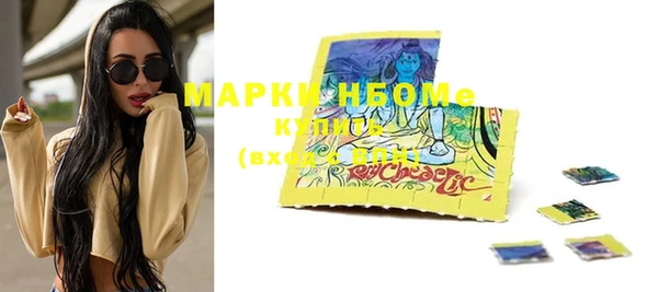 прущие крисы Горняк