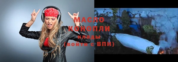 прущие крисы Горняк