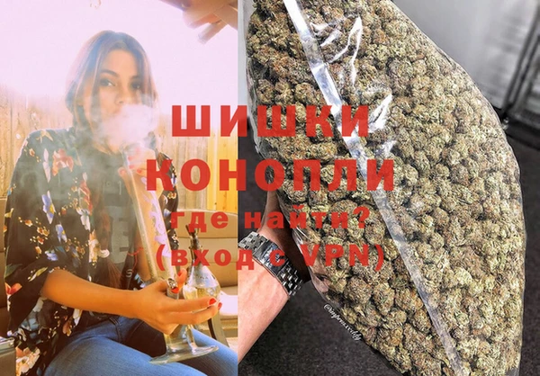 прущие крисы Горняк