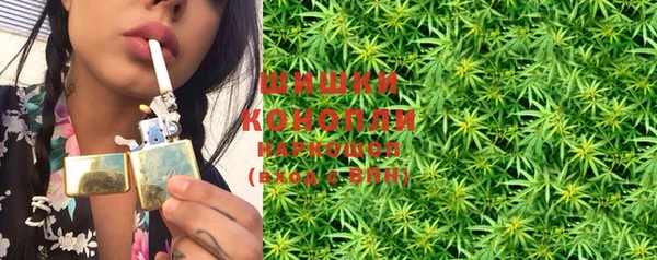 прущие крисы Горняк