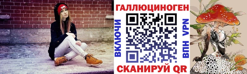 KRAKEN маркетплейс  darknet состав  Терек  Псилоцибиновые грибы MAGIC MUSHROOMS  закладки 